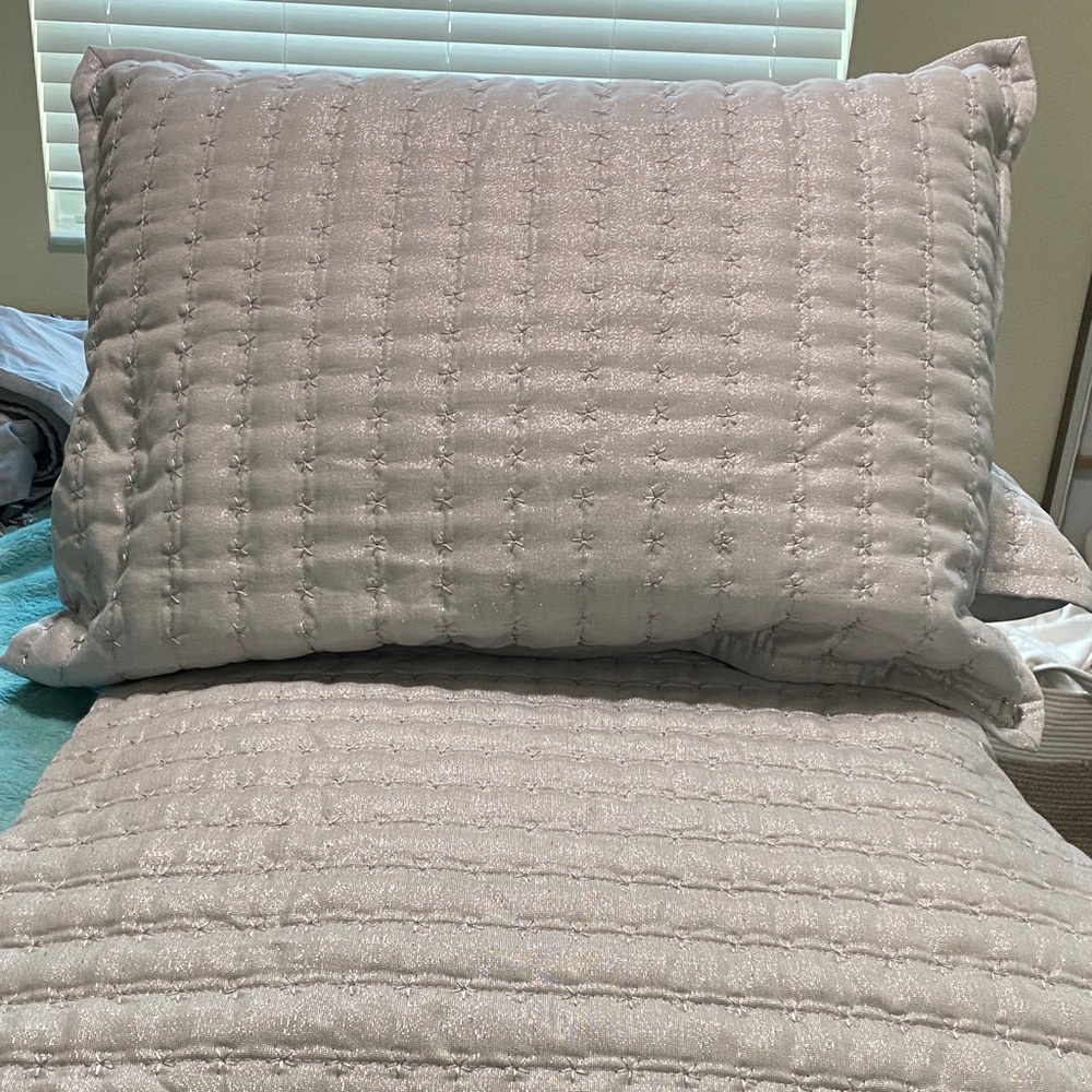 Silver Quilted Twin Comforter & Pillow Cases